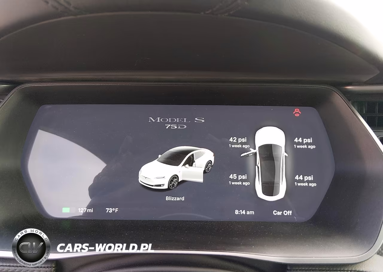 2018 Tesla Model S 100D-75D-P100D VIN:5YJSA1E2XJF286240 - 7