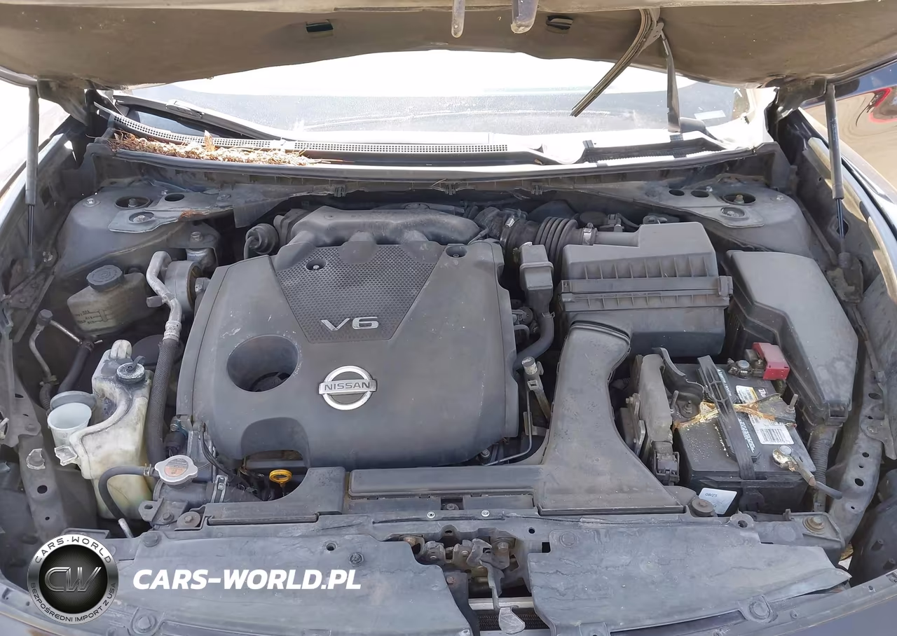 2011 Nissan Maxima 3.5 Sv VIN:1N4AA5AP2BC828164 - 10