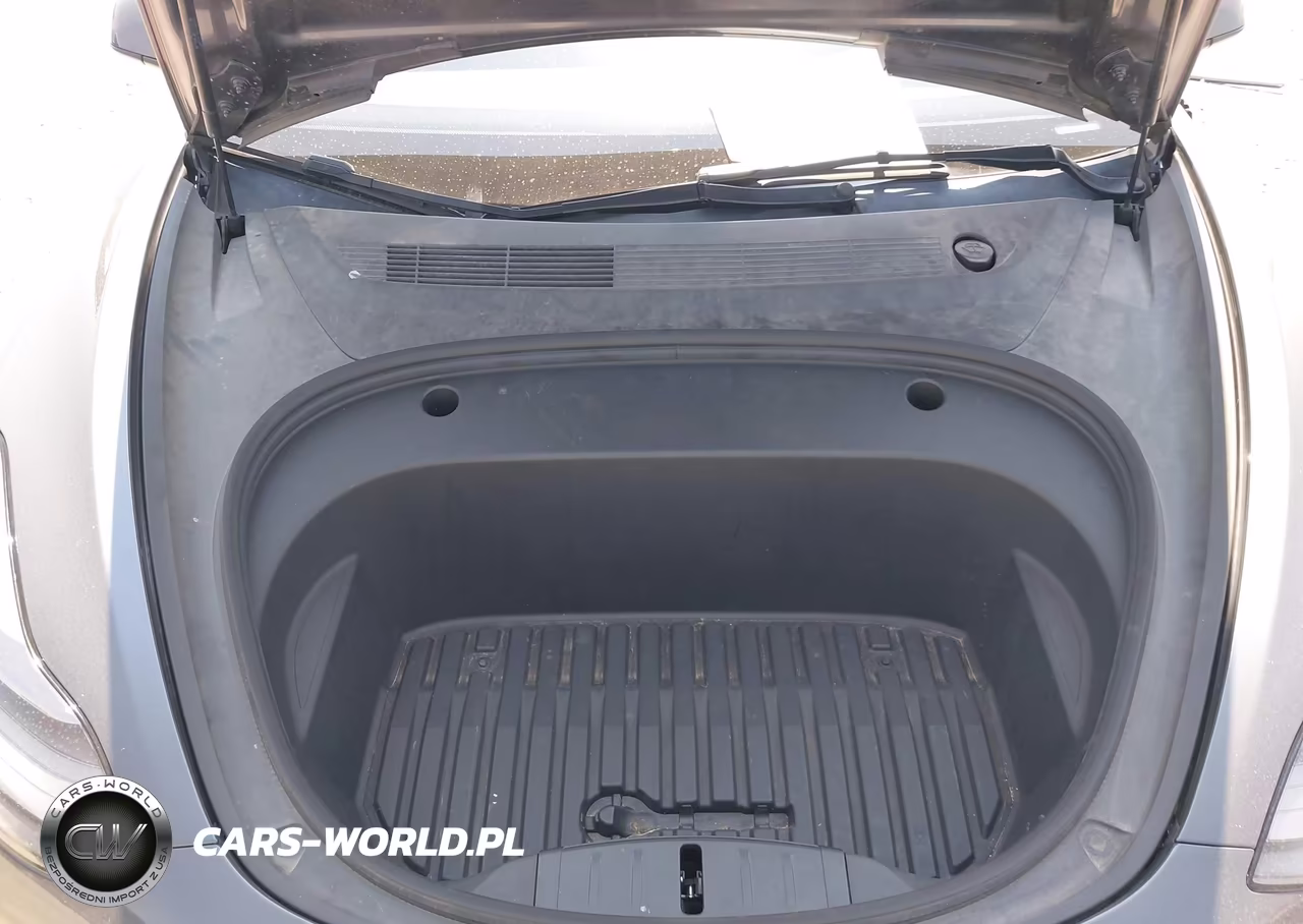 2023 Tesla Model 3 Rear-Wheel Drive VIN:5YJ3E1EA3PF695155 - 10