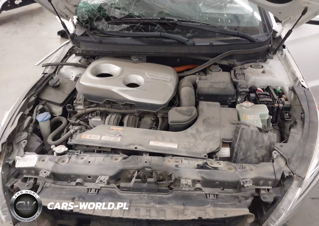 2017 Hyundai Sonata Hybrid Se VIN:KMHE24L12HA060066 - 10