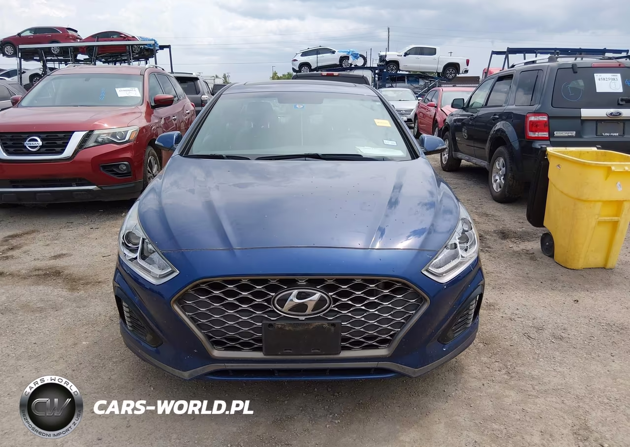 2019 Hyundai Sonata Sport VIN:5NPE34AF7KH813266 - 12