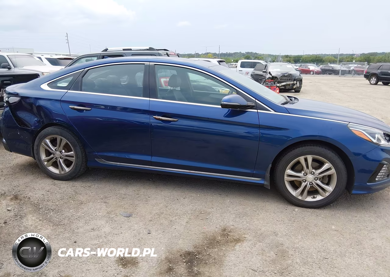 2019 Hyundai Sonata Sport VIN:5NPE34AF7KH813266 - 13