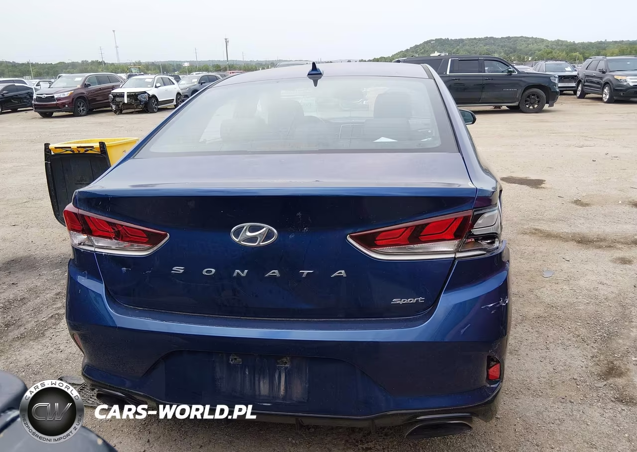 2019 Hyundai Sonata Sport VIN:5NPE34AF7KH813266 - 16