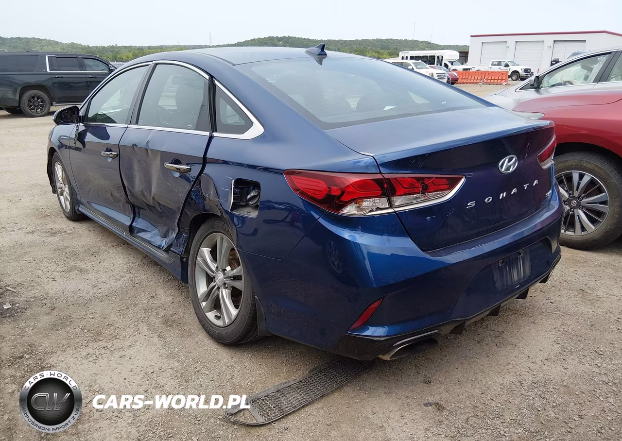 2019 Hyundai Sonata Sport VIN:5NPE34AF7KH813266 - 3