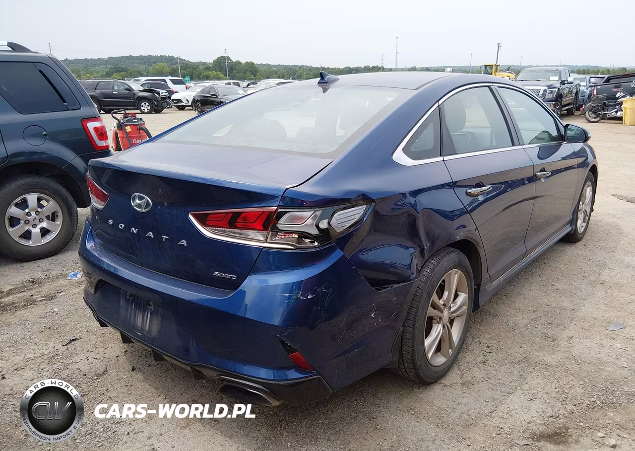 2019 Hyundai Sonata Sport VIN:5NPE34AF7KH813266 - 4
