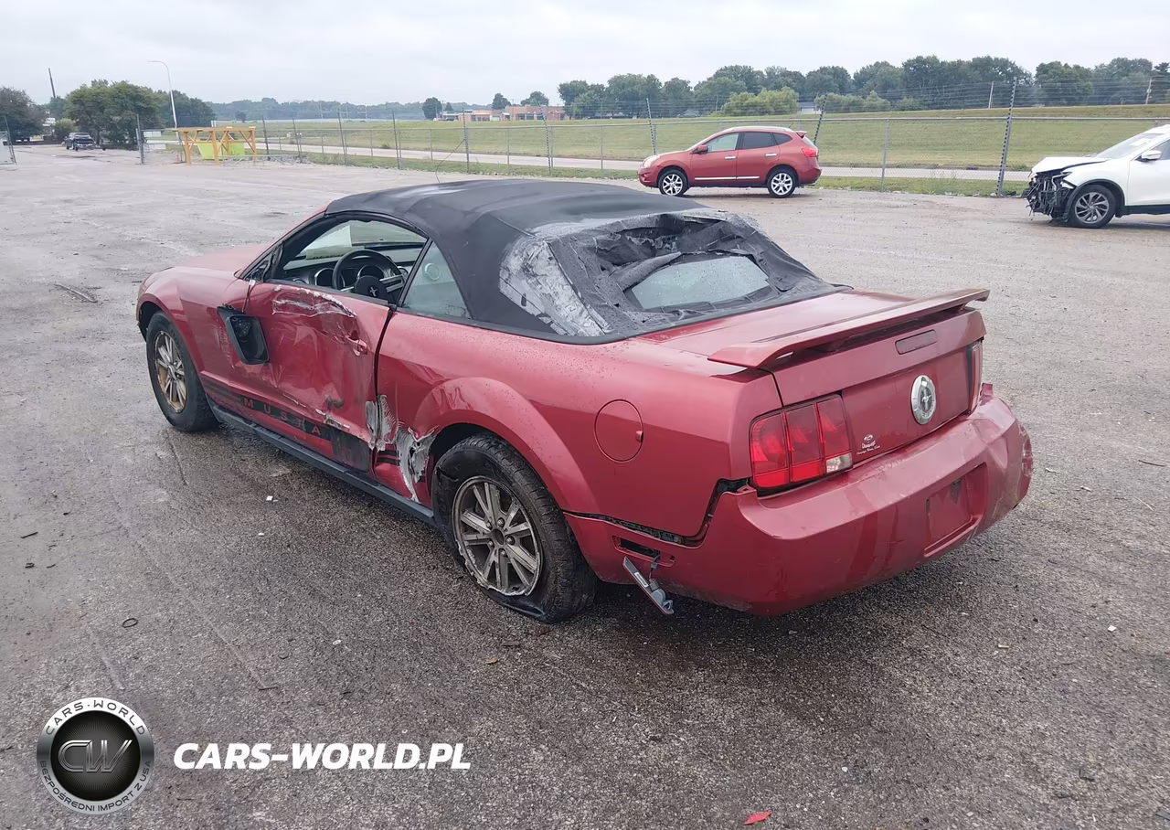 2005 Ford Mustang VIN:1ZVHT84N055256872 - 3