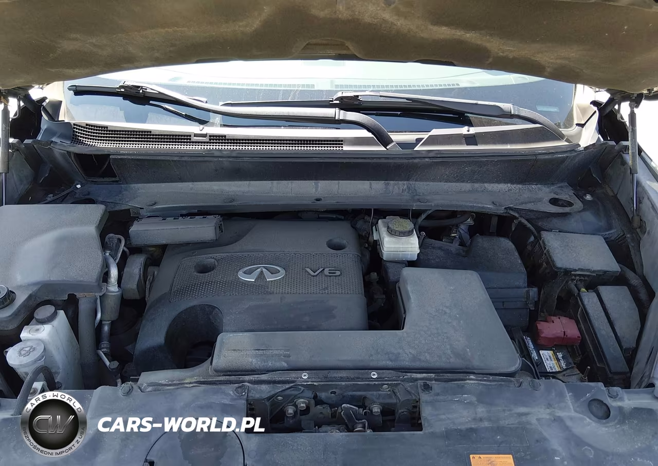 2016 Infiniti Qx60 VIN:5N1AL0MM6GC512049 - 10