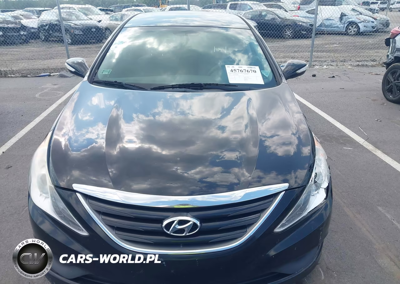 2014 Hyundai Sonata Gls VIN:5NPEB4AC7EH845017 - 12