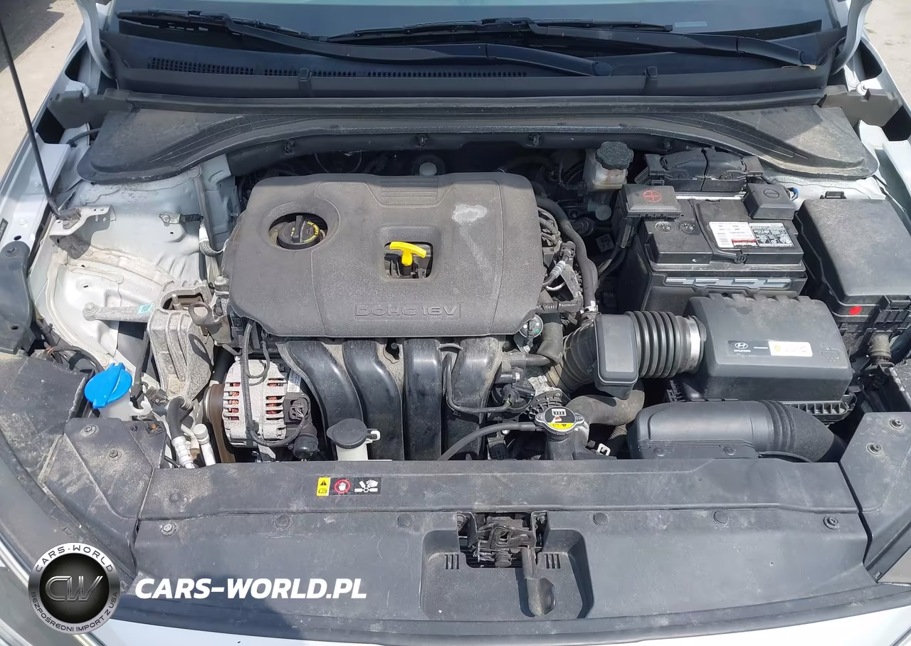 2019 Hyundai Elantra Limited VIN:5NPD84LF5KH443459 - 10