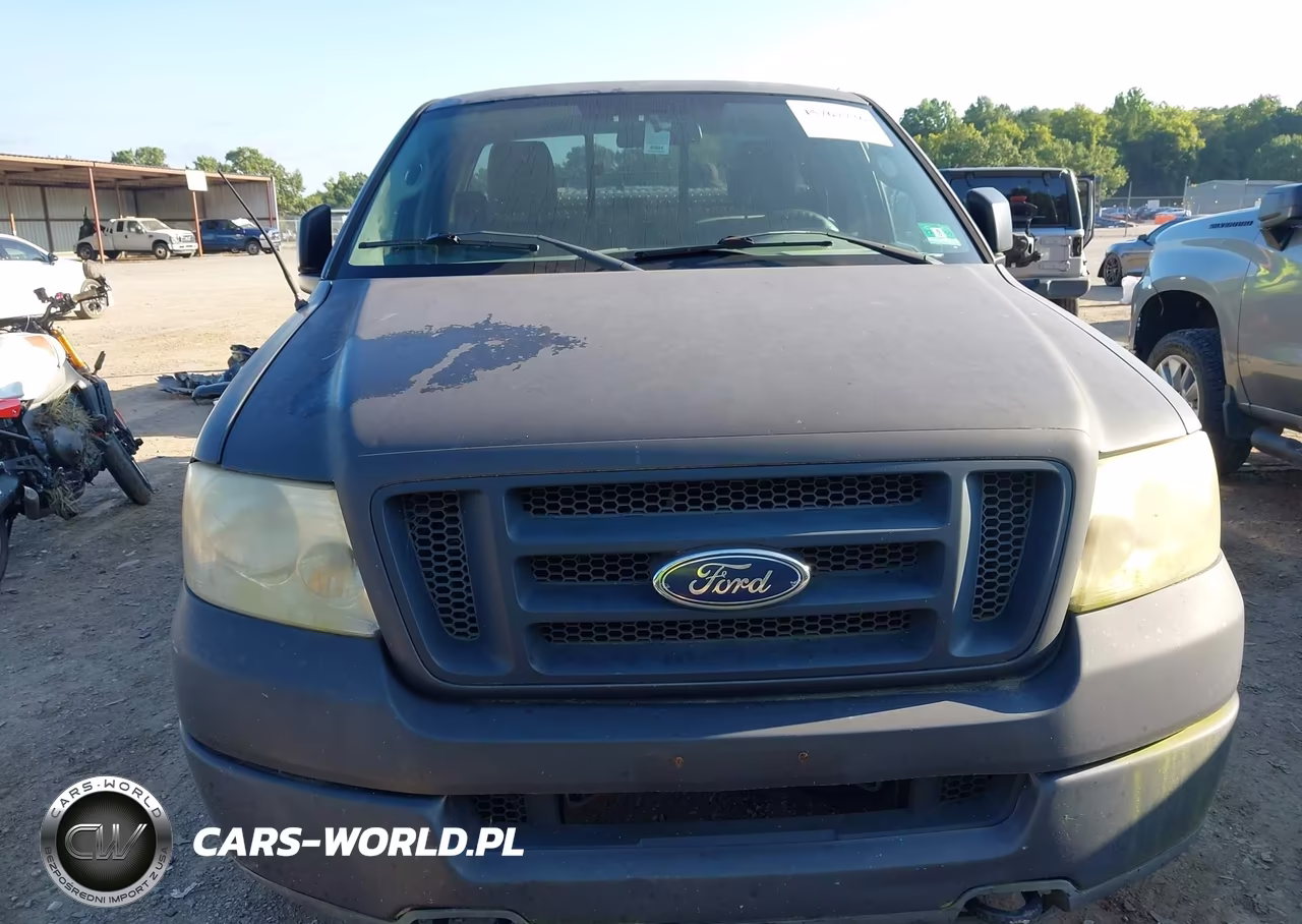 2004 Ford F-150 Stx-Xl-Xlt VIN:1FTRF14W84NA44962 - 6
