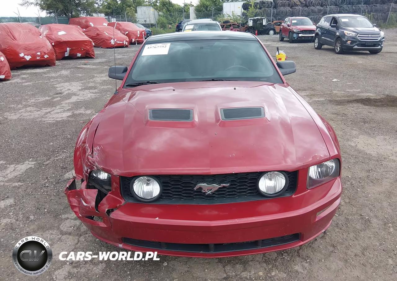 2009 Ford Mustang Gt-Gt Premium VIN:1ZVHT82H195118700 - 12