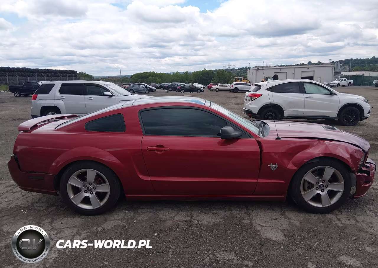 2009 Ford Mustang Gt-Gt Premium VIN:1ZVHT82H195118700 - 13