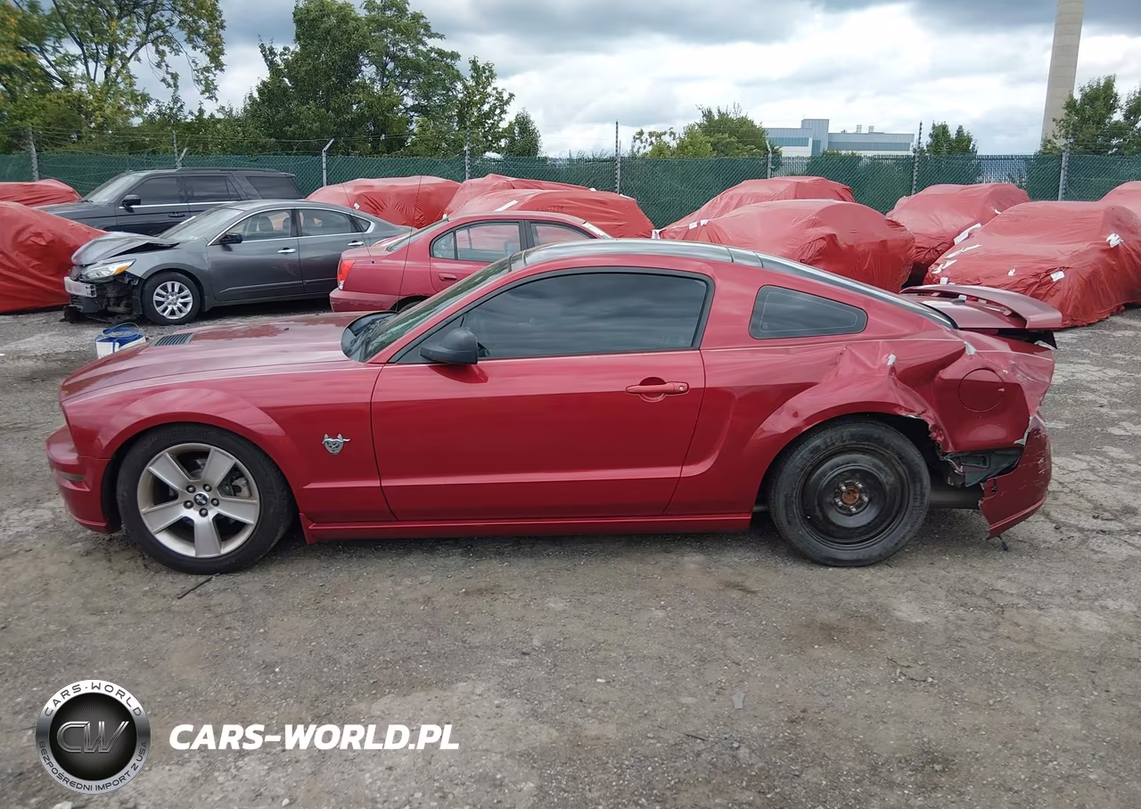 2009 Ford Mustang Gt-Gt Premium VIN:1ZVHT82H195118700 - 14