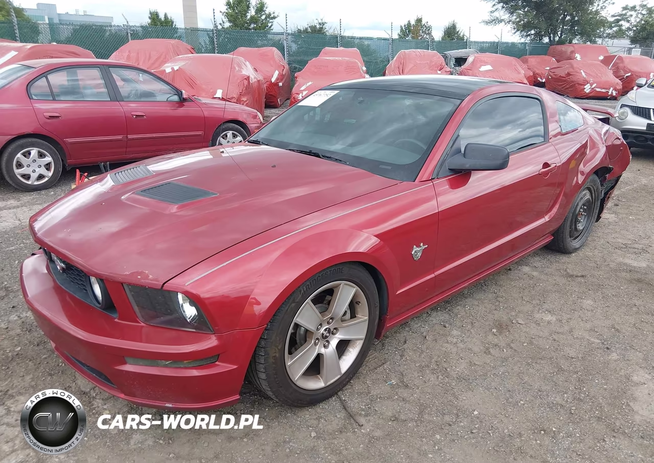 2009 Ford Mustang Gt-Gt Premium VIN:1ZVHT82H195118700 - 2