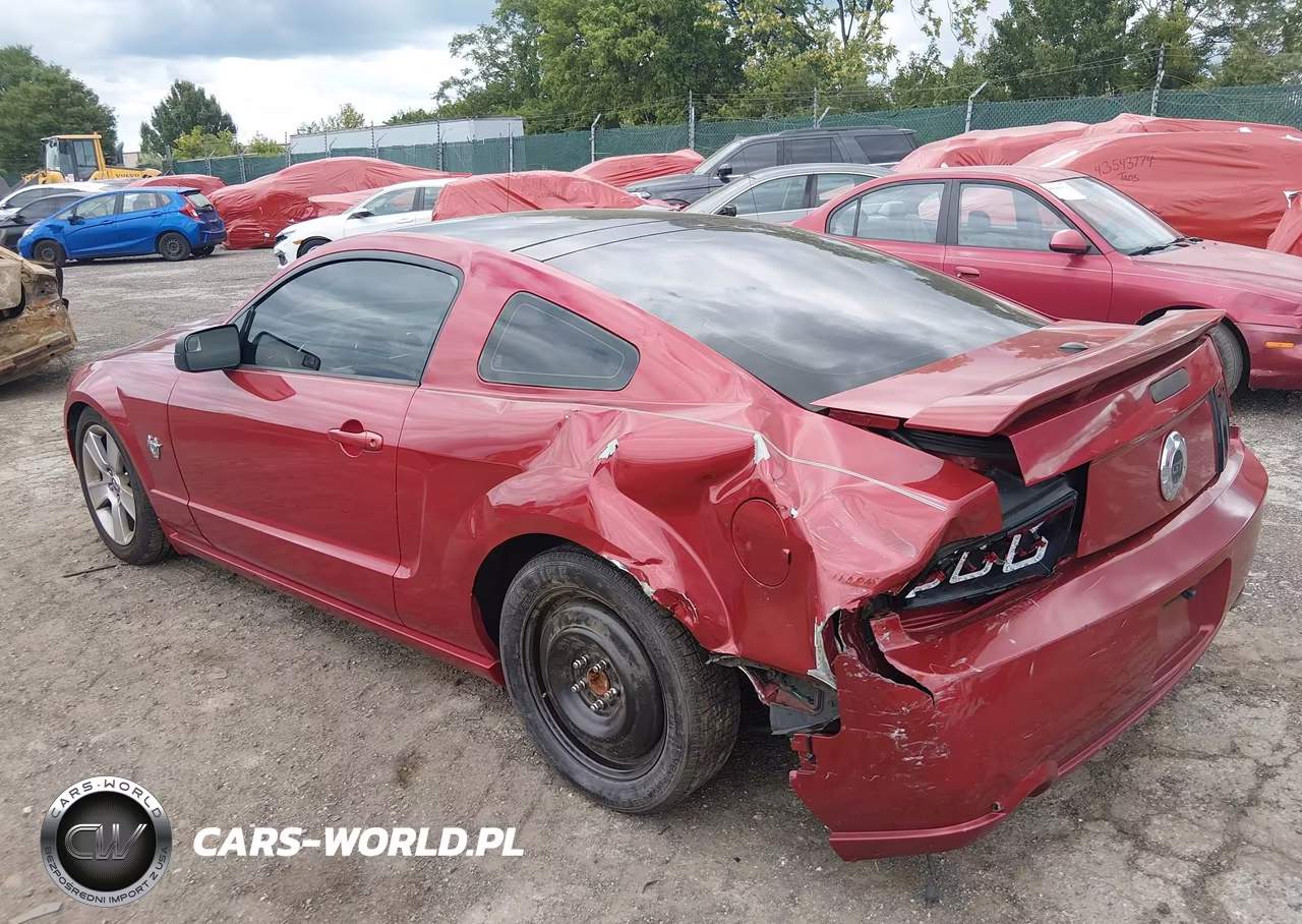 2009 Ford Mustang Gt-Gt Premium VIN:1ZVHT82H195118700 - 3