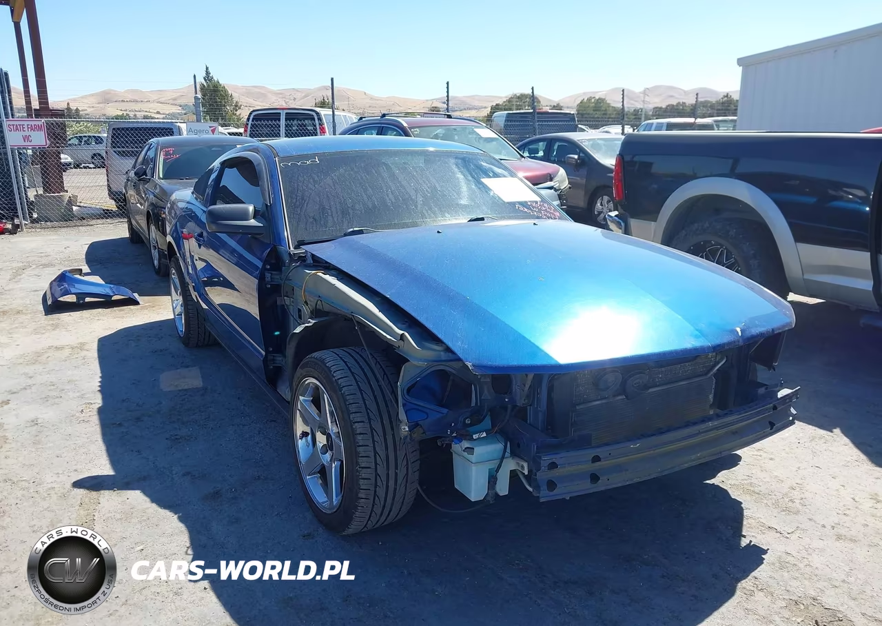 2007 Ford Mustang V6 Deluxe-V6 Premium VIN:1ZVFT80N575270735 - 6
