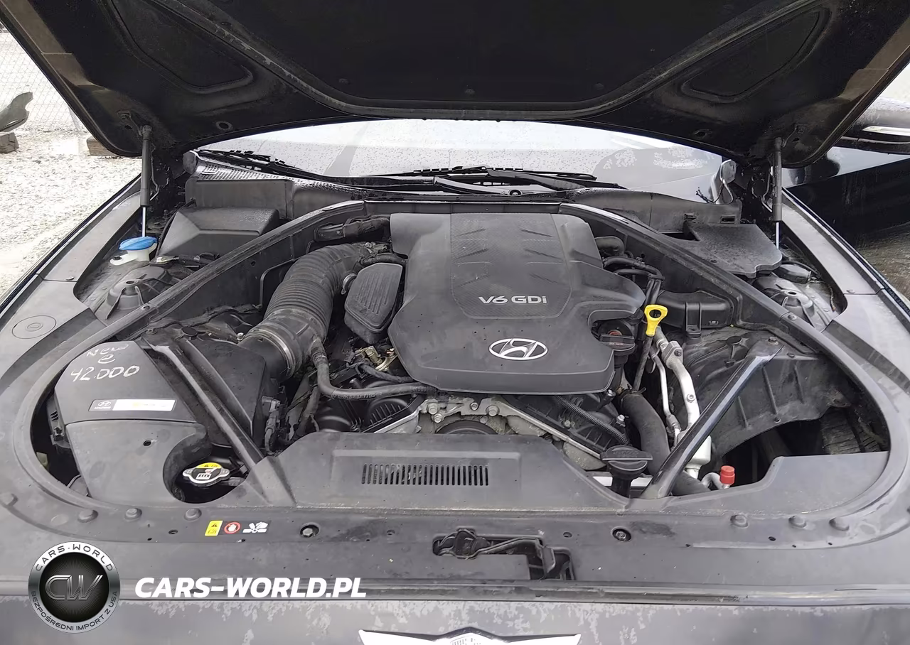 2015 Hyundai Genesis 3.8 VIN:KMHGN4JEXFU024921 - 10