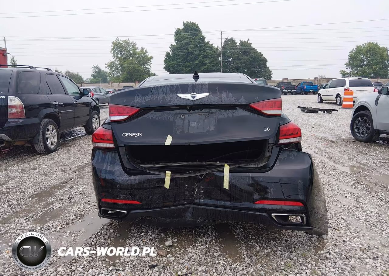 2015 Hyundai Genesis 3.8 VIN:KMHGN4JEXFU024921 - 16