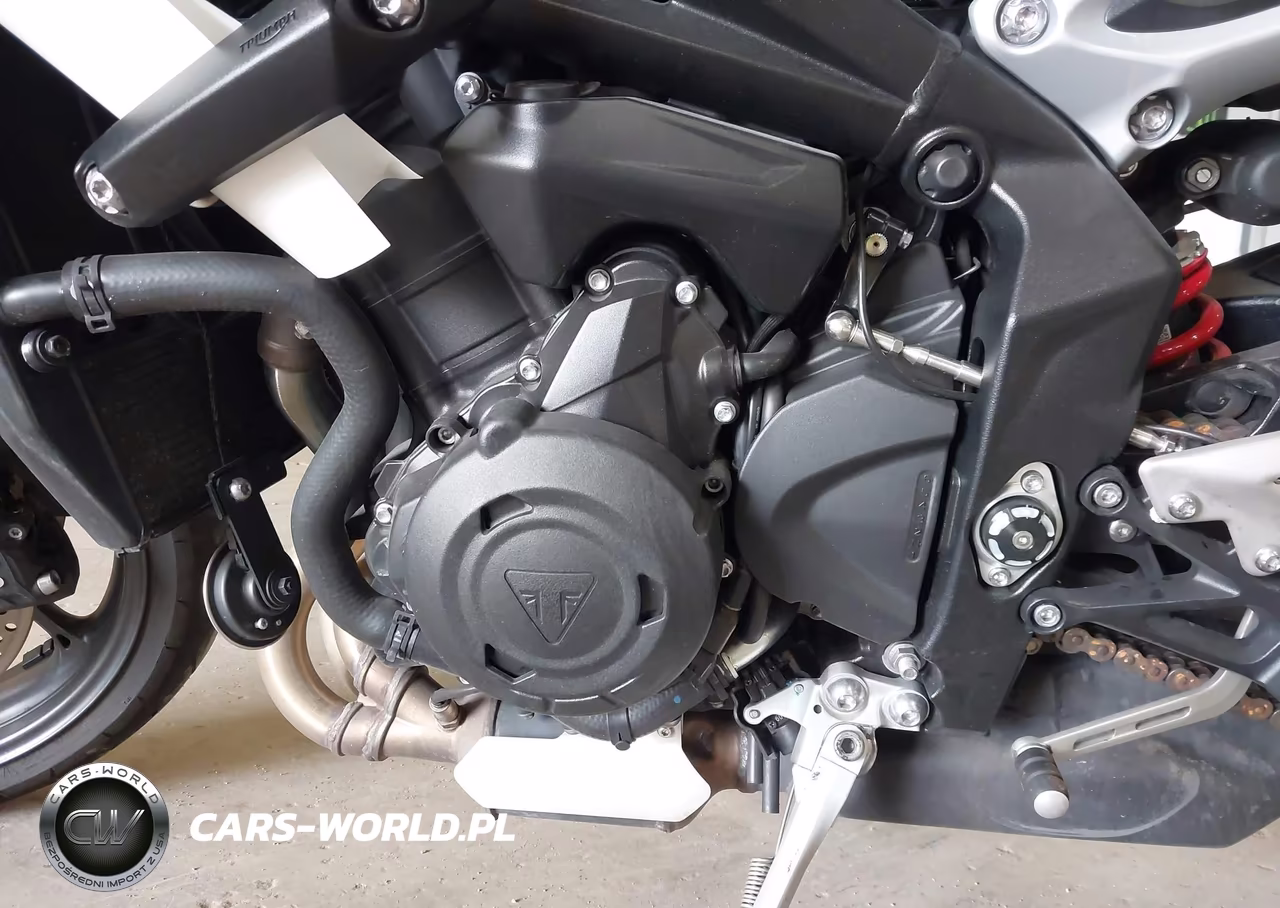2024 Triumph Motorcycle Street Triple 765 R VIN:SMTA604S6RTBL0265 - 9