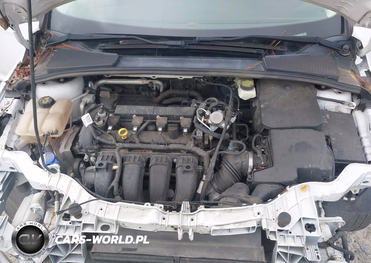 2017 Ford Focus Se VIN:1FADP3F22HL224233 - 10