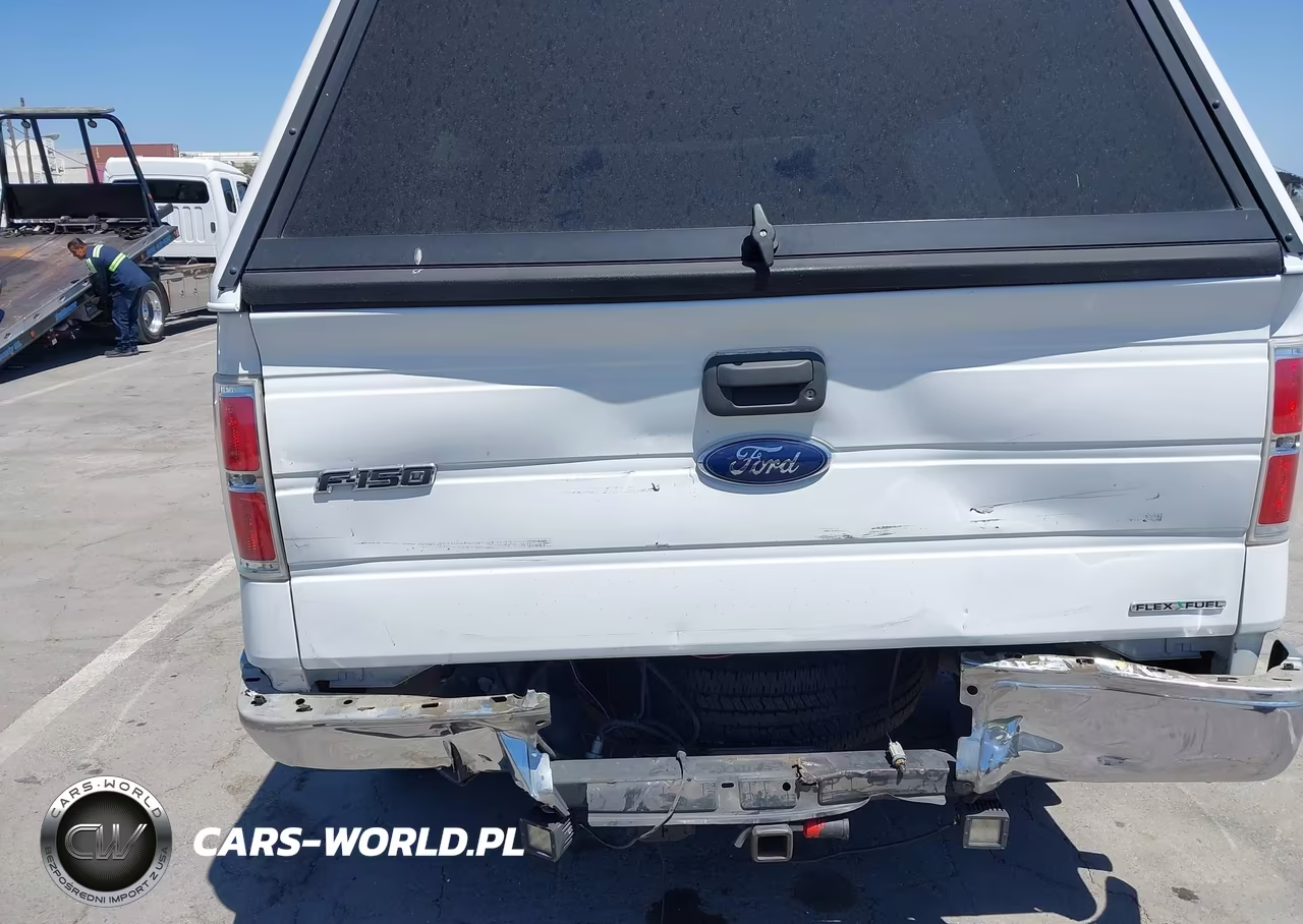 2013 Ford F-150 Xl VIN:1FTMF1CM1DKF87520 - 15