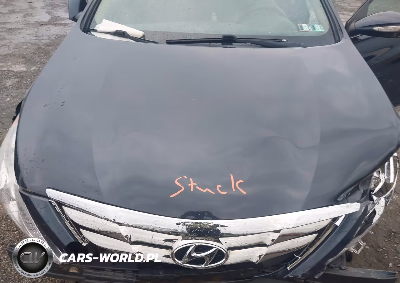 2013 Hyundai Sonata Limited 2.0T VIN:5NPEC4ABXDH646546 - 10