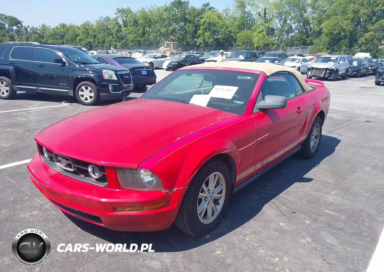 2006 Ford Mustang V6 VIN:1ZVFT84N565262126 - 2