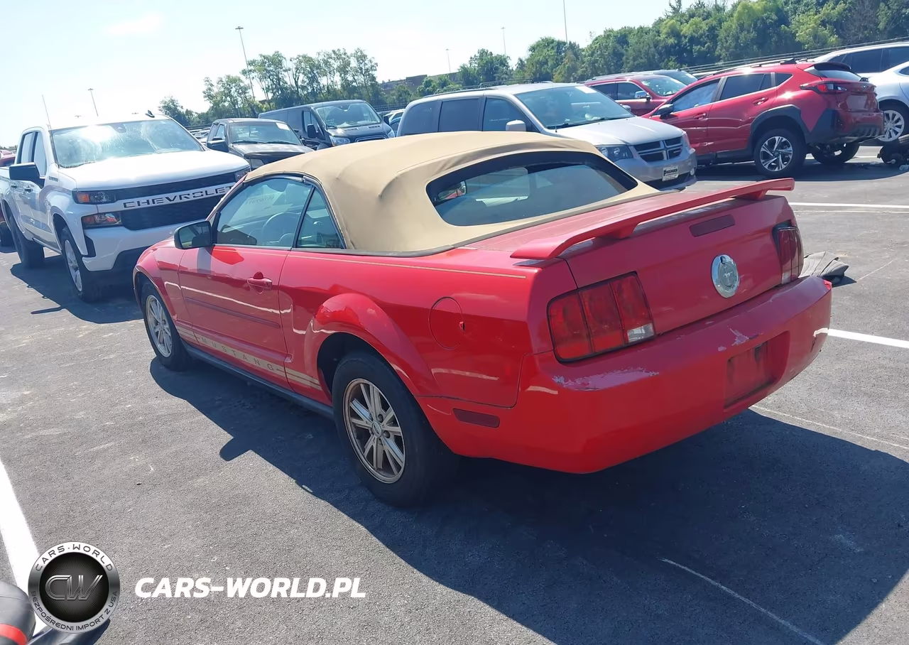 2006 Ford Mustang V6 VIN:1ZVFT84N565262126 - 3