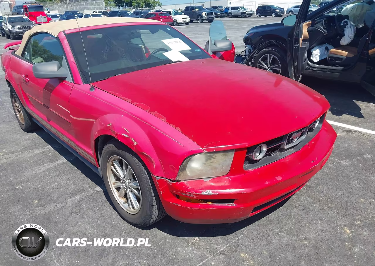2006 Ford Mustang V6 VIN:1ZVFT84N565262126 - 6