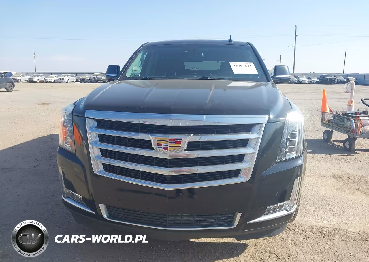 2018 Cadillac Escalade Luxury VIN:1GYS4BKJXJR238816 - 12
