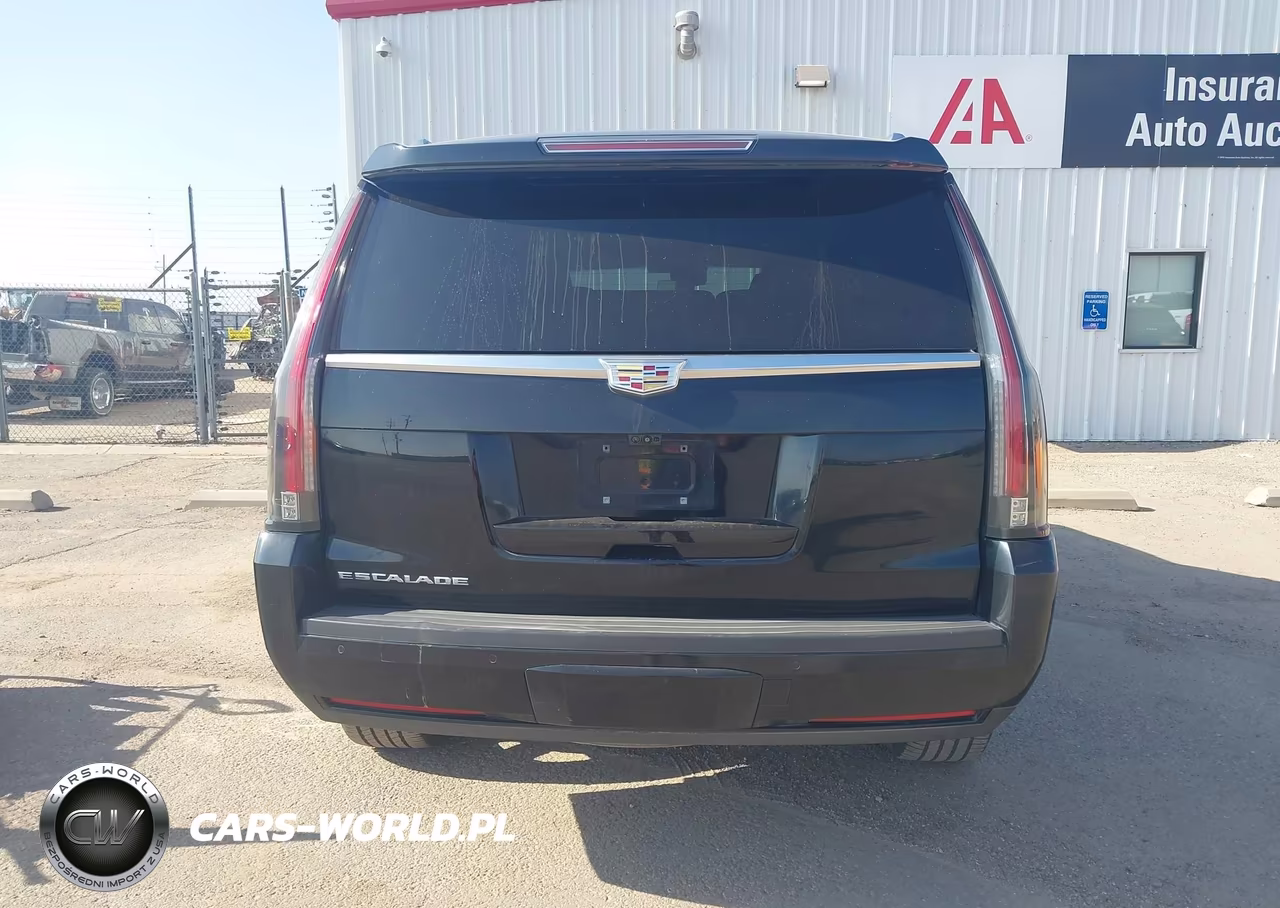 2018 Cadillac Escalade Luxury VIN:1GYS4BKJXJR238816 - 16