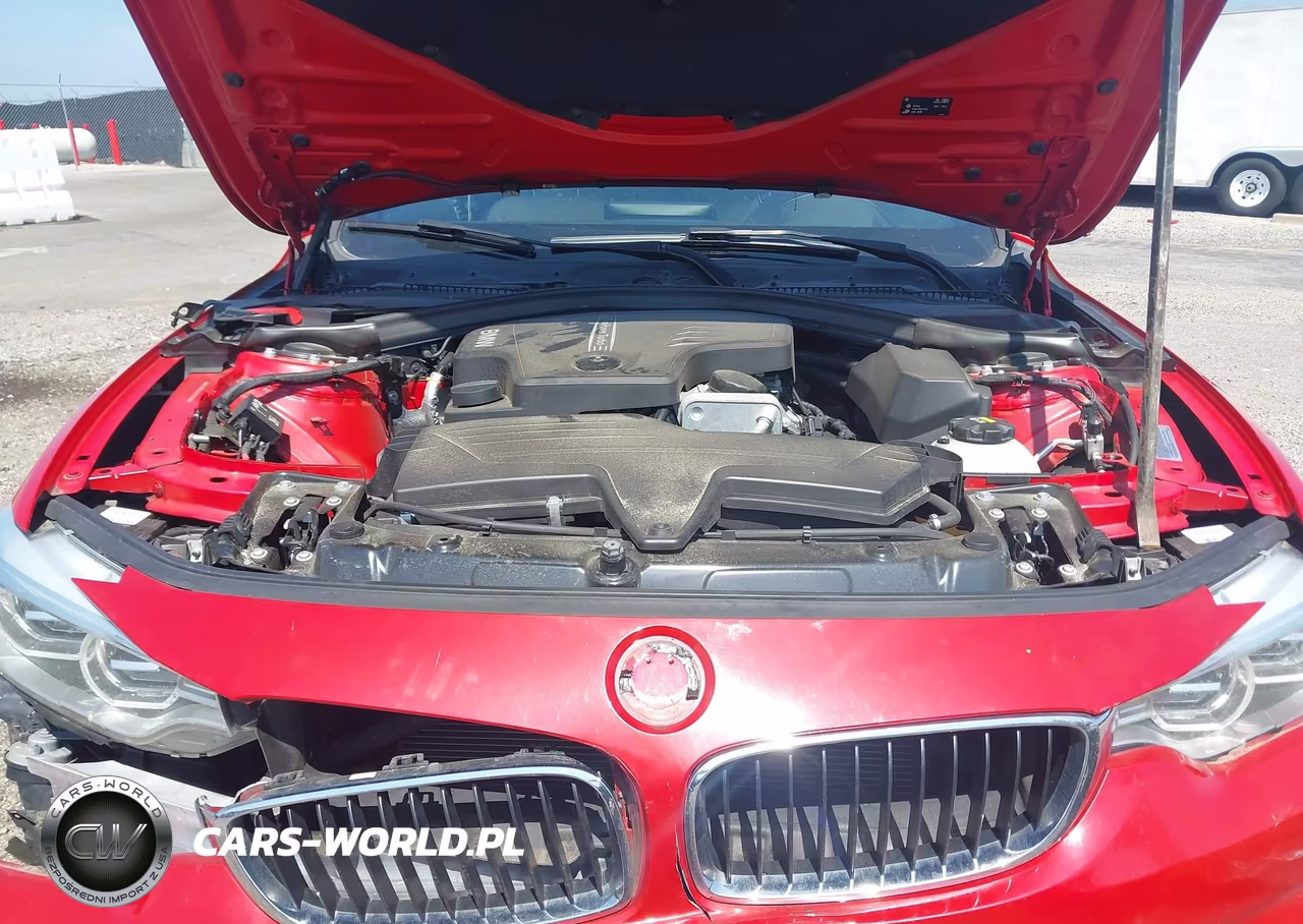 2015 BMW 428I VIN:WBA3N3C54FK234806 - 10