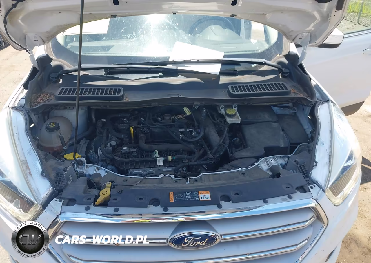 2019 Ford Escape Sel VIN:1FMCU9HD7KUB96099 - 10