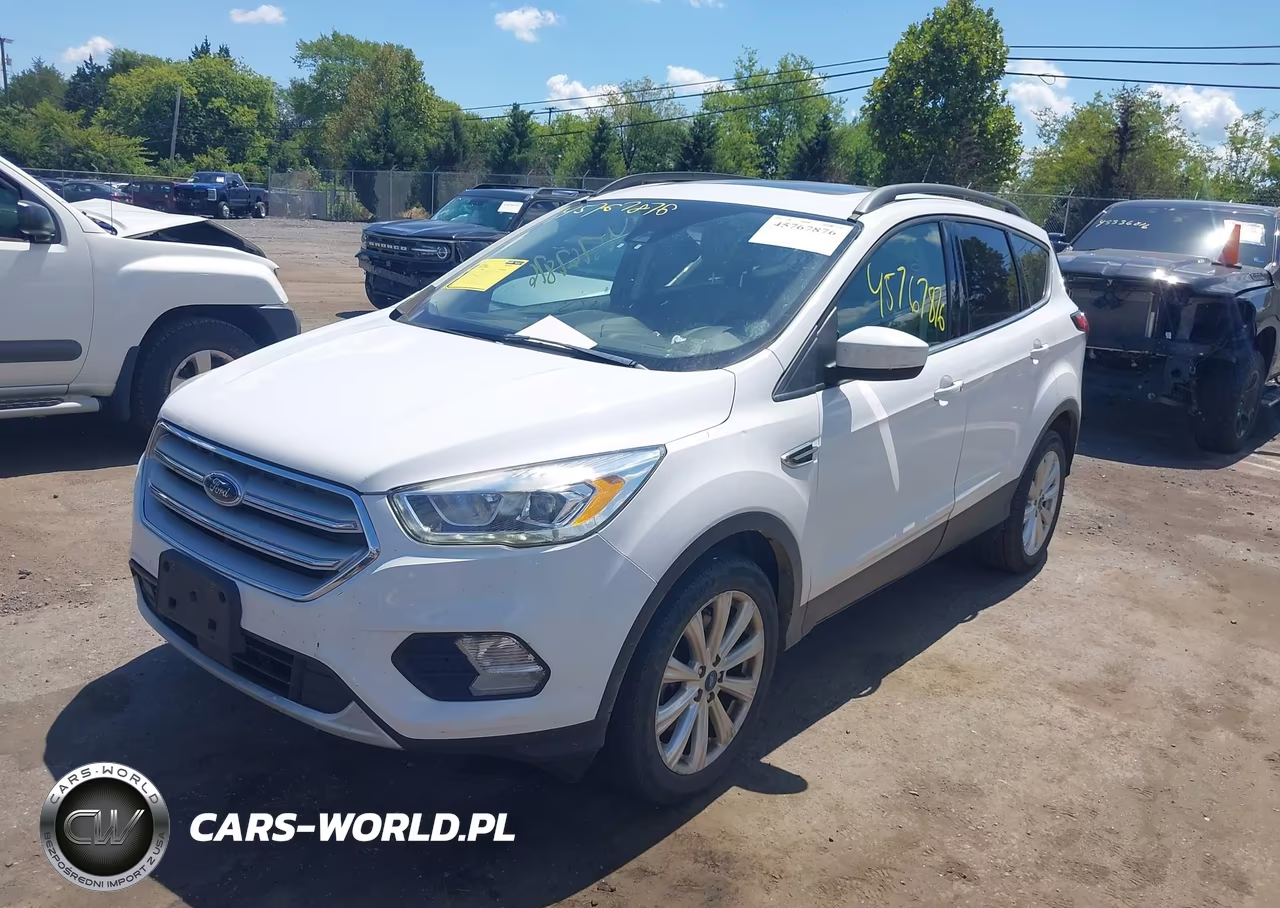 2019 Ford Escape Sel VIN:1FMCU9HD7KUB96099 - 2