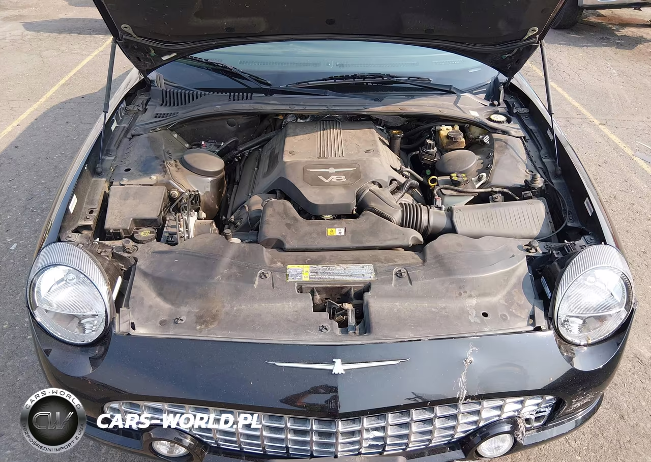 2004 Ford Thunderbird VIN:1FAHP60A74Y110258 - 10