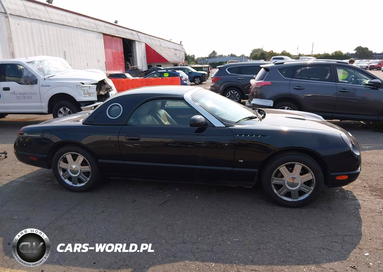 2004 Ford Thunderbird VIN:1FAHP60A74Y110258 - 13