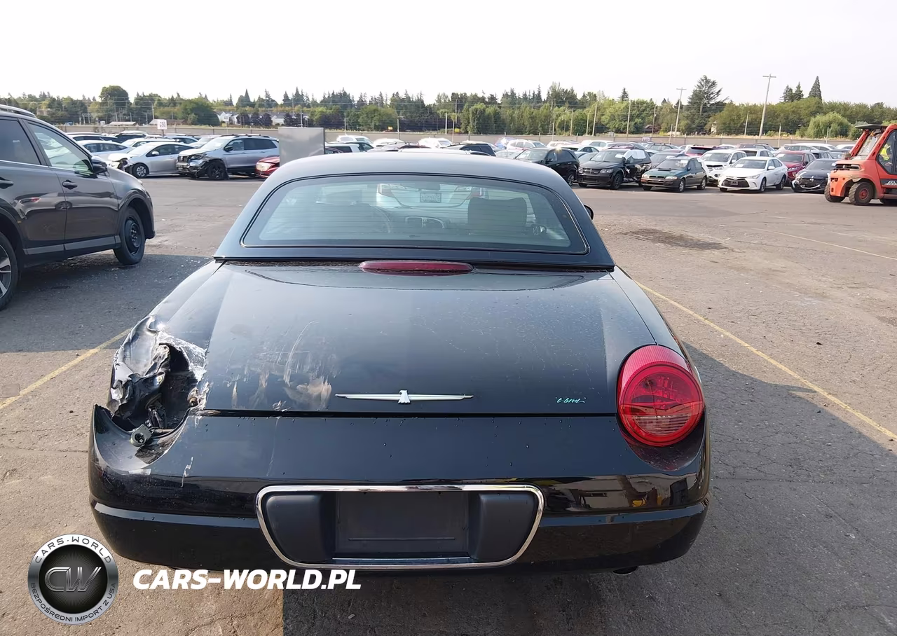 2004 Ford Thunderbird VIN:1FAHP60A74Y110258 - 16