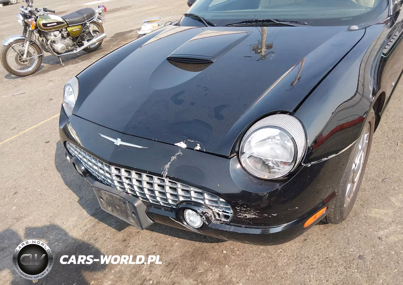 2004 Ford Thunderbird VIN:1FAHP60A74Y110258 - 17