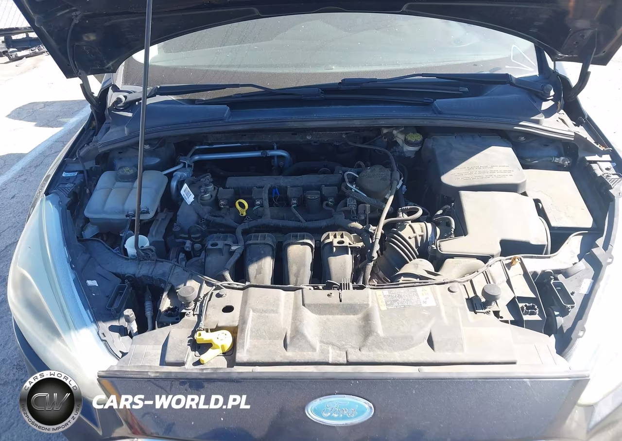 2015 Ford Focus Se VIN:1FADP3K26FL363851 - 10