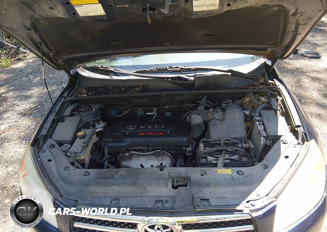 2006 Toyota Rav4 Limited VIN:JTMZD31V465020058 - 10