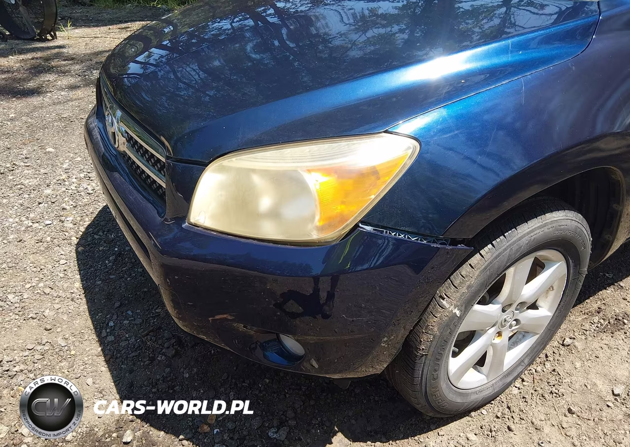 2006 Toyota Rav4 Limited VIN:JTMZD31V465020058 - 6