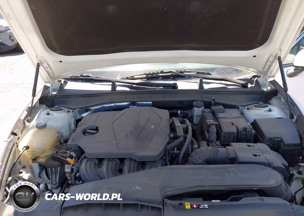 2020 Hyundai Sonata Se VIN:5NPEG4JA5LH059990 - 10
