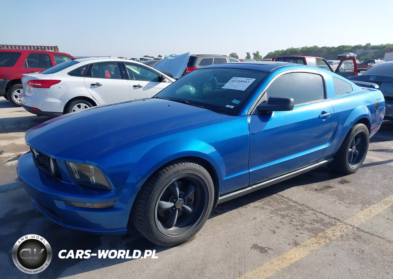 2005 Ford Mustang V6 Deluxe-V6 Premium VIN:1ZVFT80N455238436 - 2
