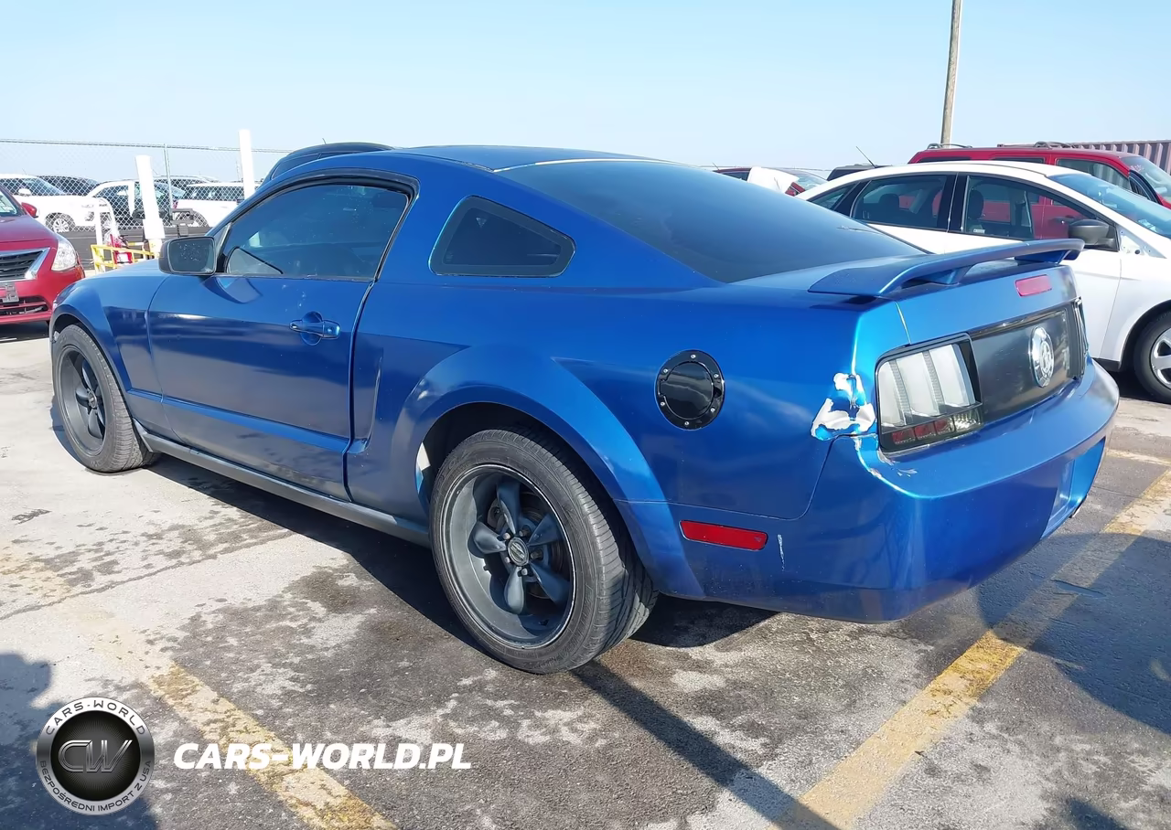 2005 Ford Mustang V6 Deluxe-V6 Premium VIN:1ZVFT80N455238436 - 3