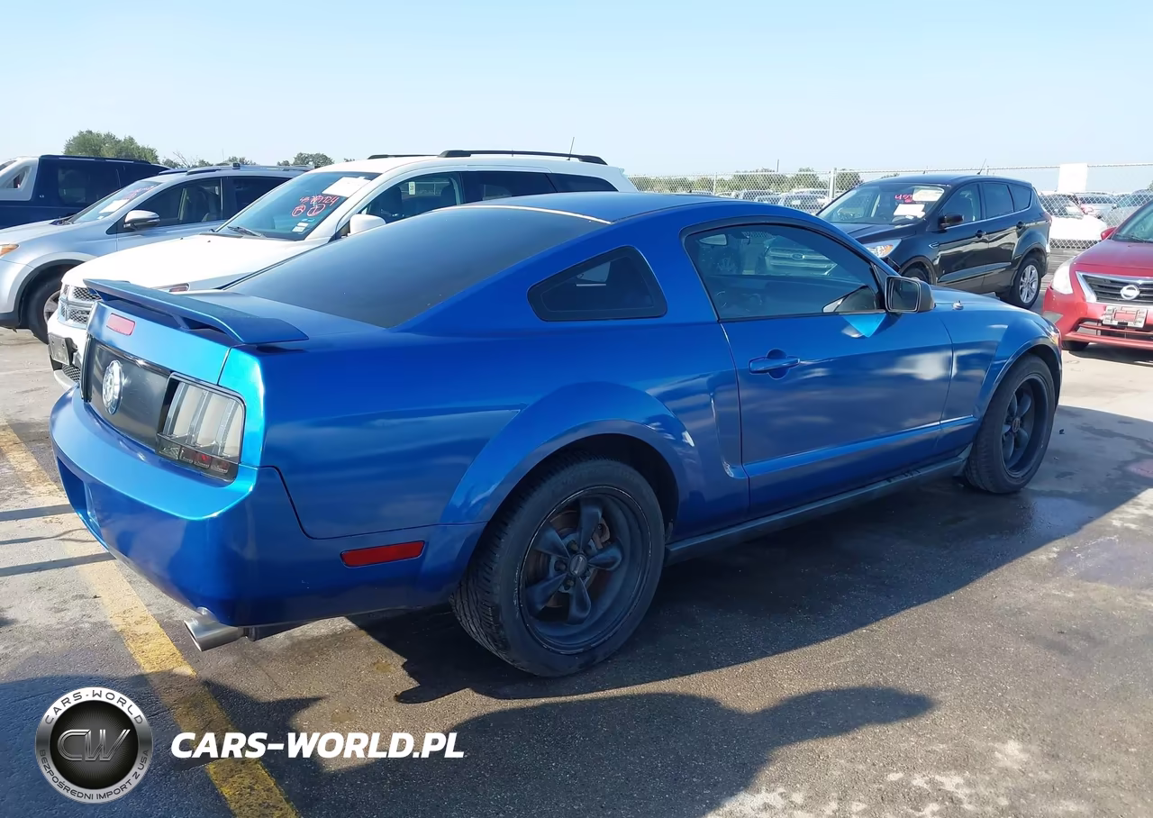 2005 Ford Mustang V6 Deluxe-V6 Premium VIN:1ZVFT80N455238436 - 4