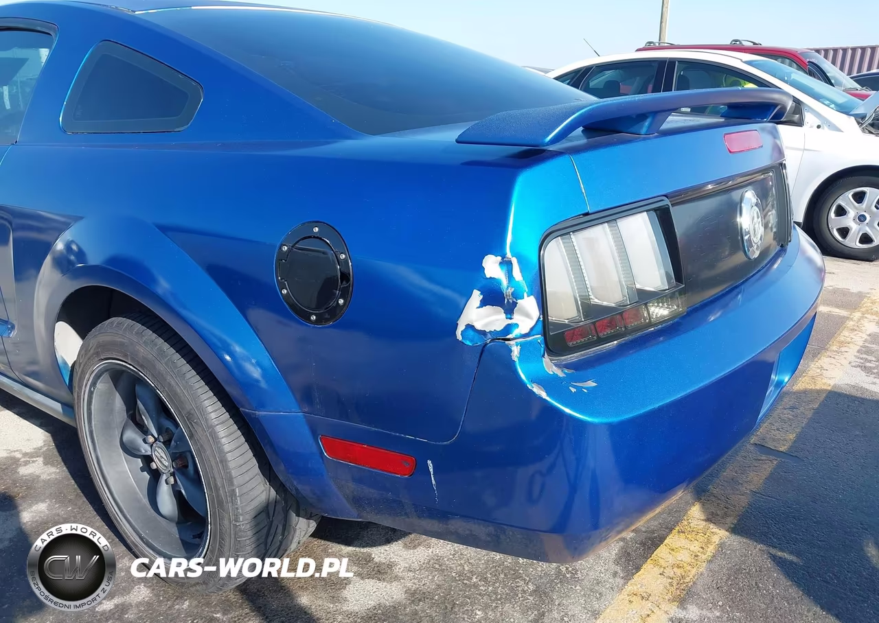 2005 Ford Mustang V6 Deluxe-V6 Premium VIN:1ZVFT80N455238436 - 6