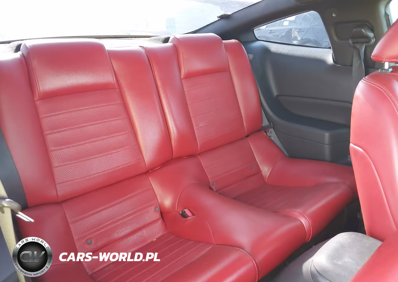 2005 Ford Mustang V6 Deluxe-V6 Premium VIN:1ZVFT80N455238436 - 8