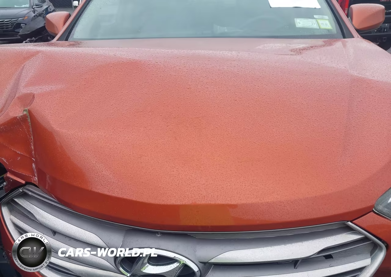 2017 Hyundai Santa Fe Sport 2.4L VIN:5XYZTDLB1HG438566 - 10