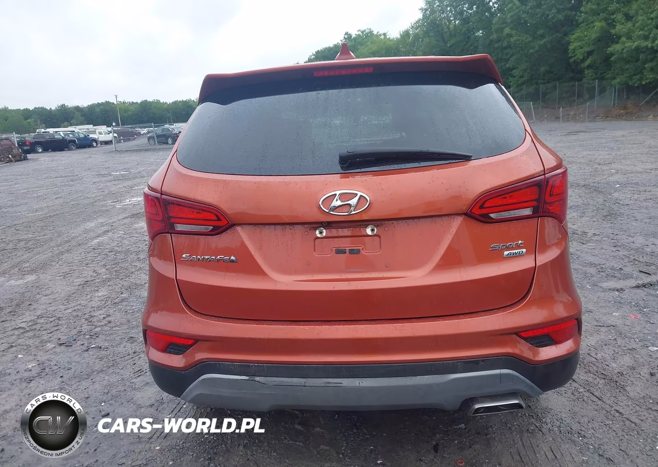 2017 Hyundai Santa Fe Sport 2.4L VIN:5XYZTDLB1HG438566 - 16