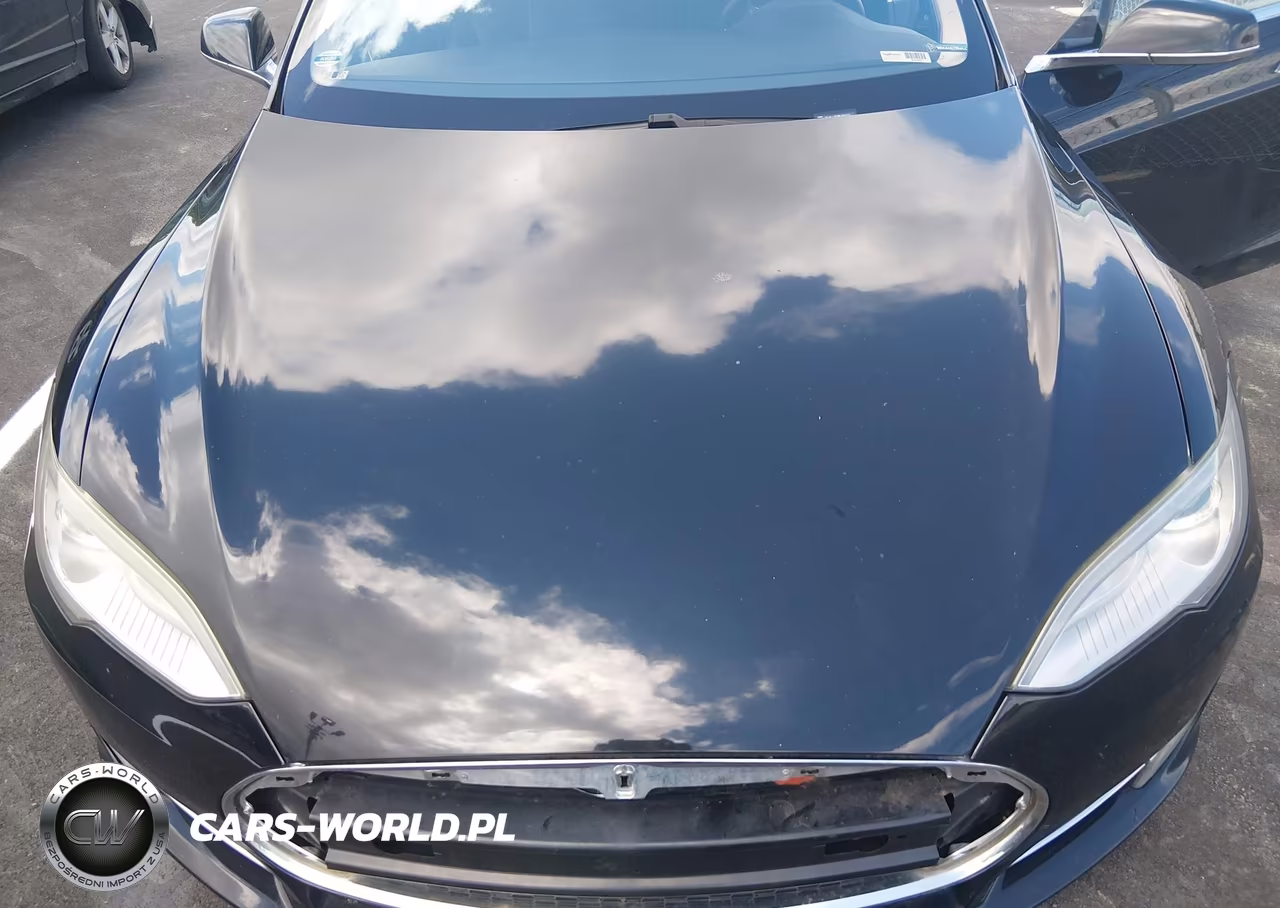 2013 Tesla Model S Performance VIN:5YJSA1CP8DFP06533 - 10